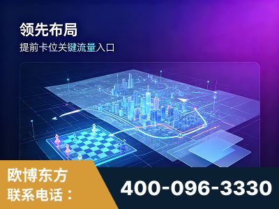 徐州-领先布局：于2024年初开启GEO业务的公司